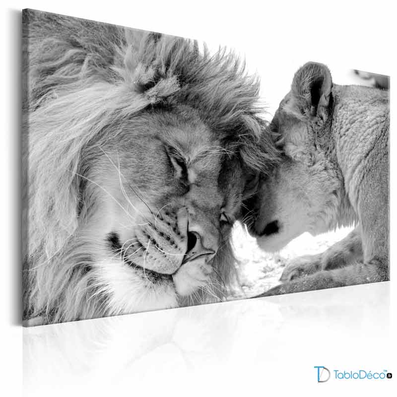 Tableau Lion Et Lionne En Noir Et Blanc