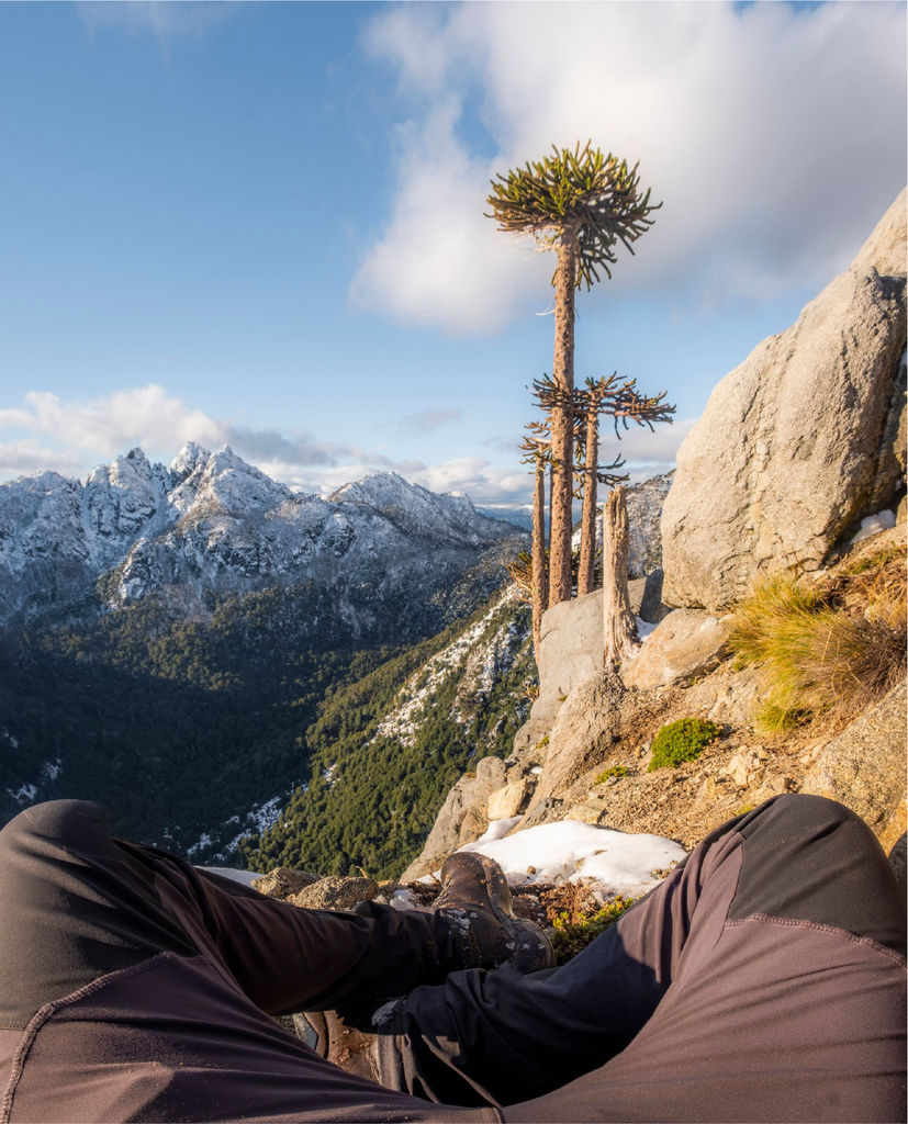 Parque Nacional Conguillio / Chile / Kano / Alfredo de la Cruz / alfredodelacruzph