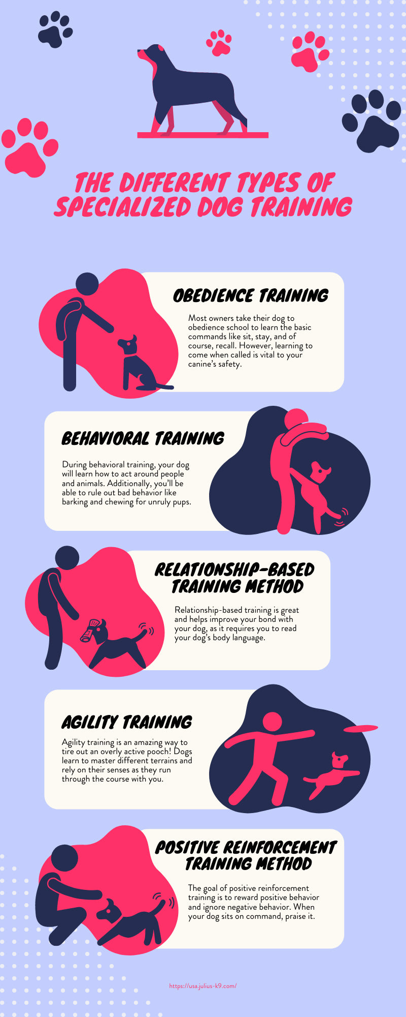 The Different Types of Specialized Dog Training