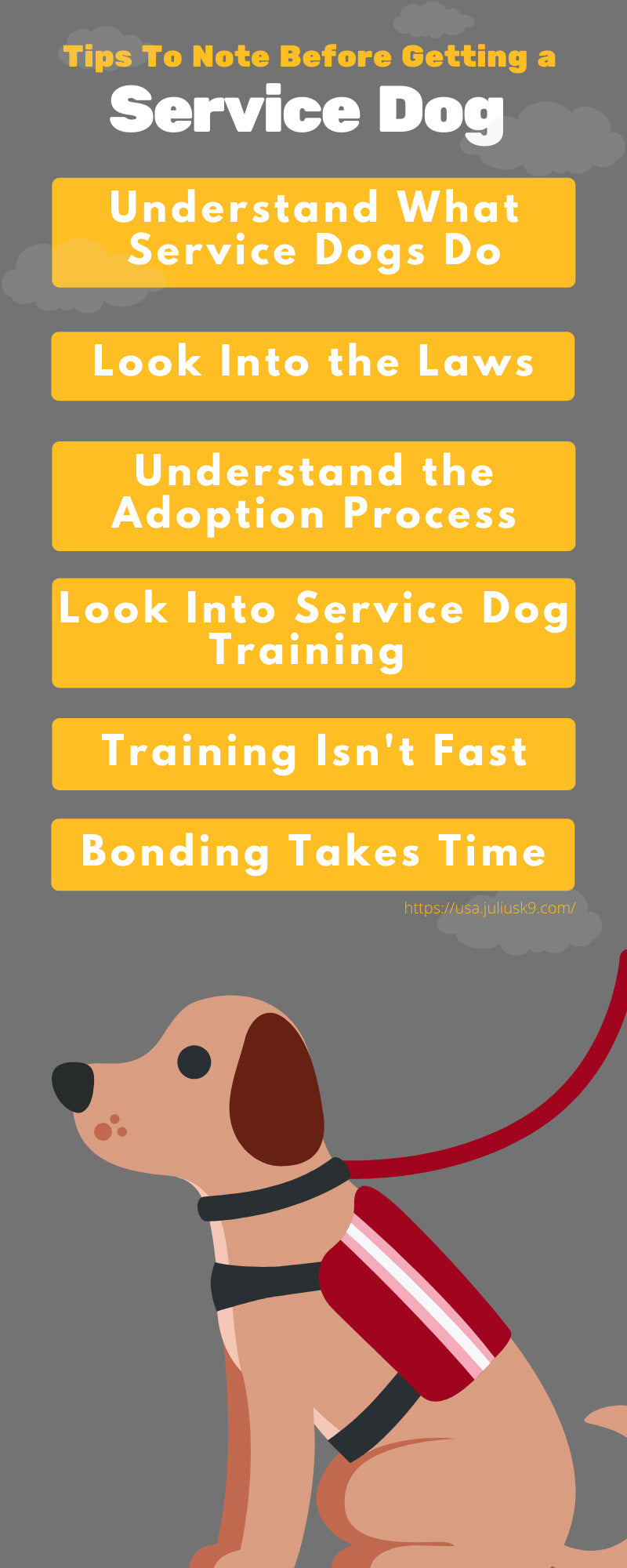 Tips To Note Before Getting a Service Dog