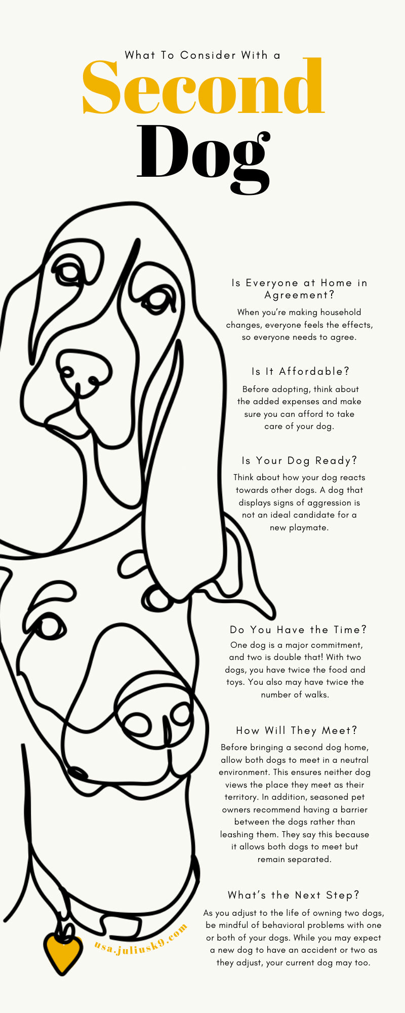 What To Consider With a Second Dog