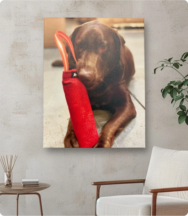 print of a chocolate brown dog lying on a surface.webp__PID:378a8f9c-df4e-4f69-97b4-83c876221027