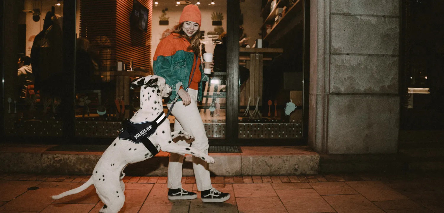 woman-in-orange-beanie-walking-a-dalmatian__PID:2d10e6bb-64a1-4e93-99e0-d62df5520c27