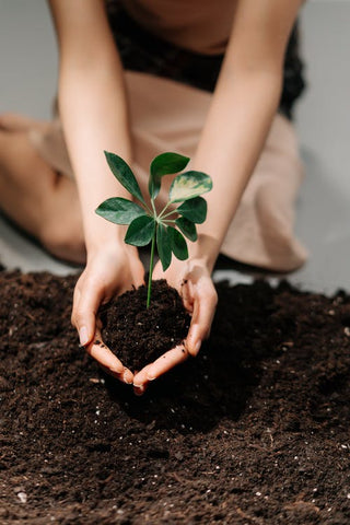 A girl in a sitting position holding a sapling under soil