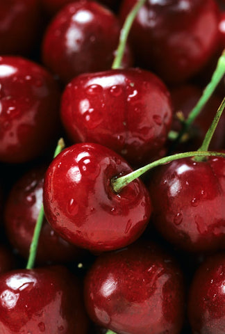 A bunch of ripe red cherries 