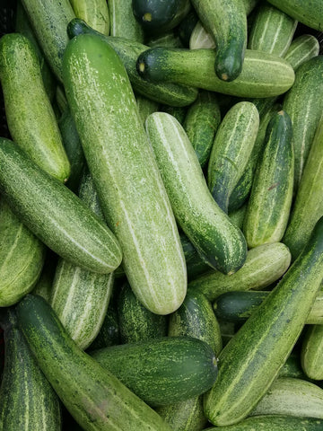A bunch of fresh long and green cucumbers 