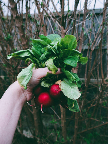 Grow your own greens