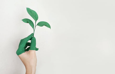 Green hand holding a green leaf 