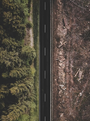 A road with two sides showing a forest area and a barren land 