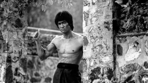 bruce lee godfather of mma