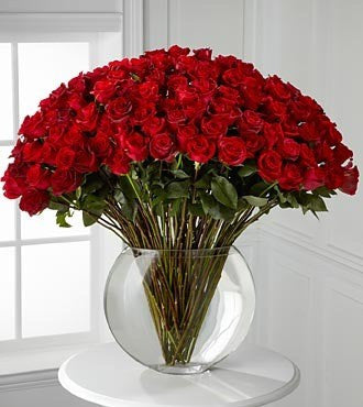 Breathless Luxury Rose Bouquet - 100 Stems 24in Premium Long-Stemmed R –  Peachtree Petals