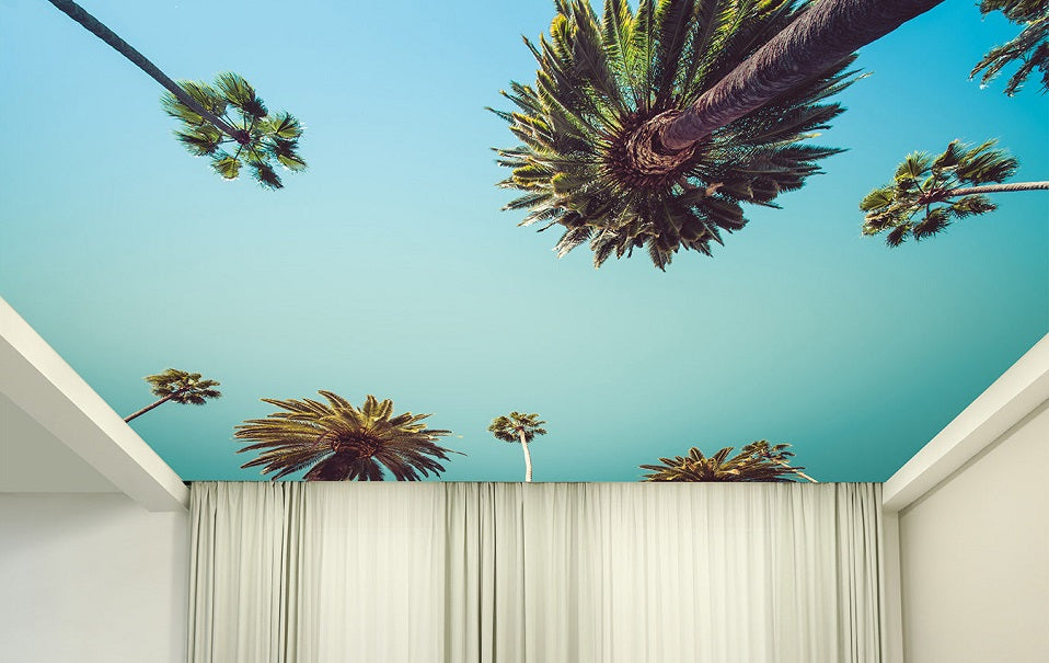 Ceiling wallpaper mural of palm trees and blue skies