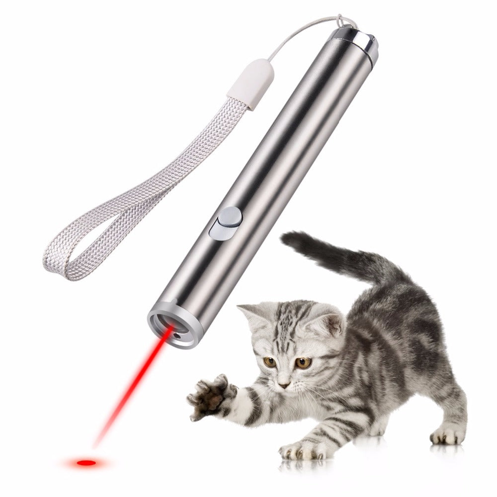 pet laser pointer