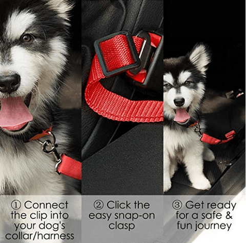 Best Dog Harness Clip Seat Belt