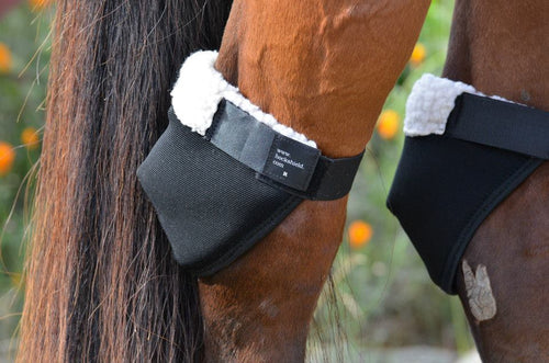 Hock, Fetlock and Knee Shields – The Horsewear House