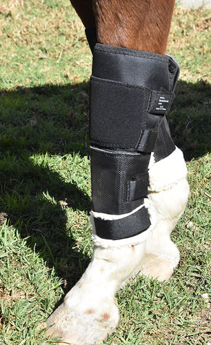 Hock, Fetlock and Knee Shields – The Horsewear House