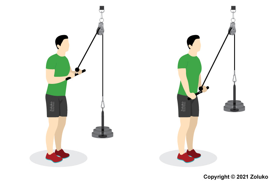 Triceps Pushdown - Oefening - Uitvoering - Executie