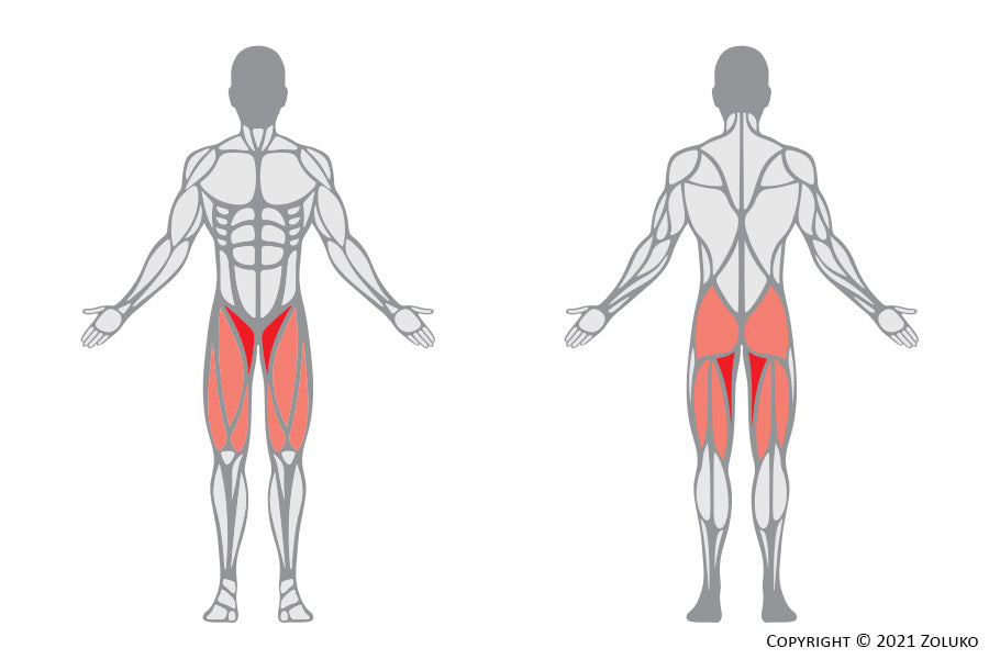 Welke spieren train ik met innter thigh pulls?