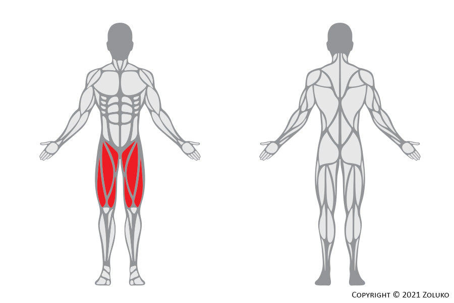 Welke spieren train je met hip flexors?