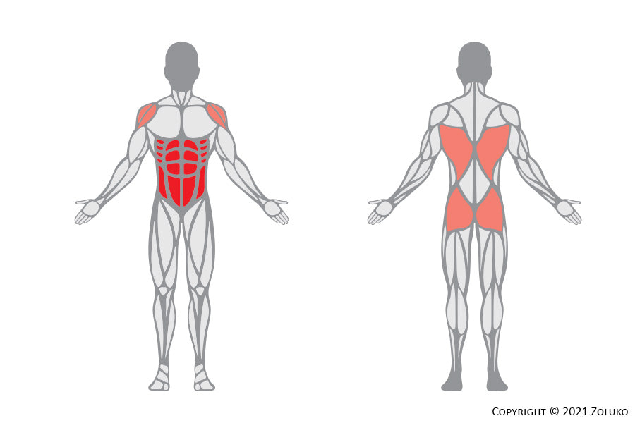 Cable Wood Chop - Fitness Oefening - Welke Spieren - Anatomie