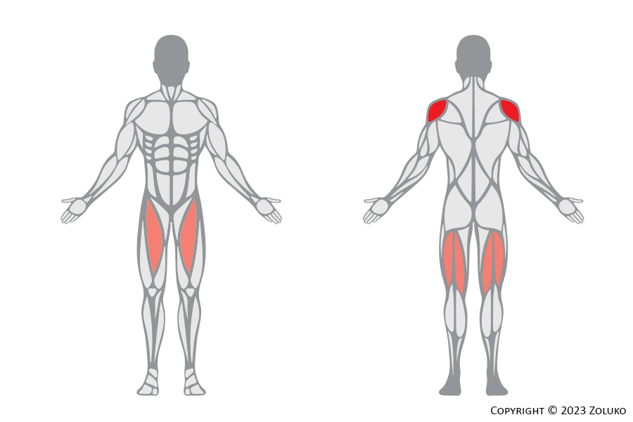 Muscle Anatomy - Crossed Lateral Raise - Fitness Trilplaat