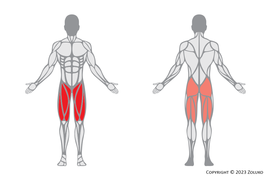 Muscle Anatomy - Lateral Lunge on Floor - Fitness Trilplaat