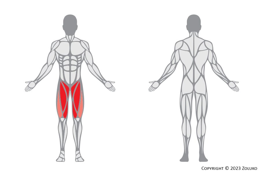 Muscle Anatomy - Split Squat - Fitness Trilplaat