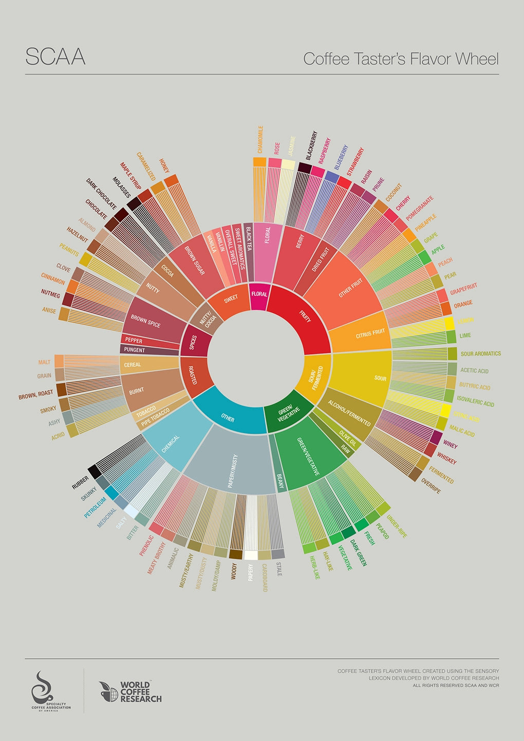 Coffee Taster's Flavor Wheel from the Specialty Coffee Association of America (SCAA) and World Coffee Research (WCR). CC BY NC ND 4.0