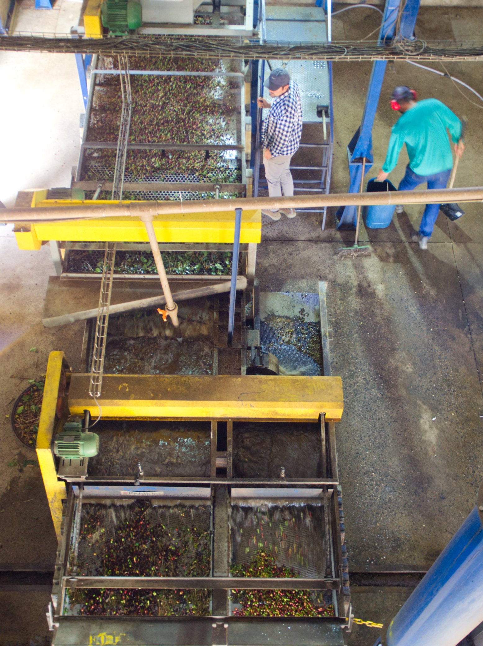Sorting machine for freshly harvested coffee cherries on a farm in Brazil that Mats visited in 2022.