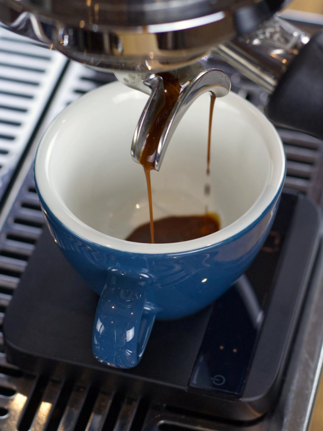 Der Espresso sollte gleichmäßig aus dem Siebträger in die Tasse laufen.