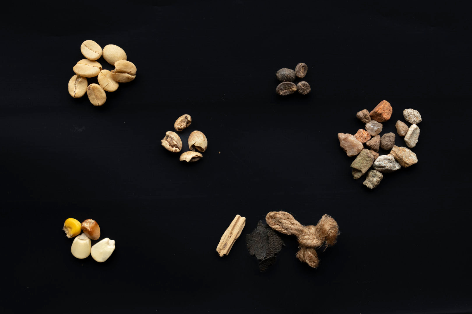 Beispiele: Kaffeedefekte und Fremdkörper im Rohkaffee. Steine, Taue, Mais, Stöckchen.