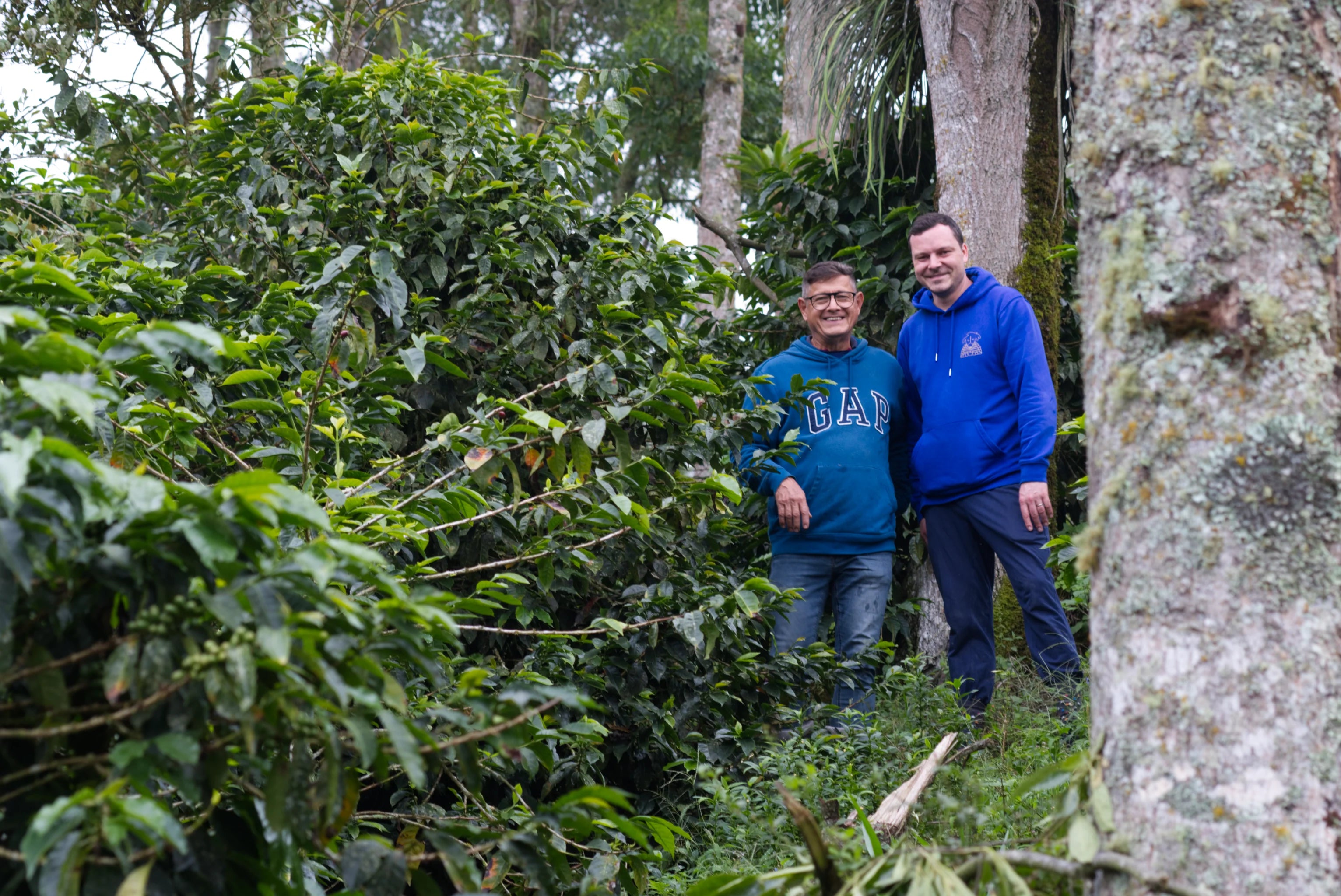 Omar Arango Tinoco und Philip Weller auf der Farm Finca San Luis zwischen Kaffeebäumen.