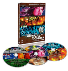 Airbrush dvd lessons