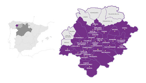 Bierzo region wine map