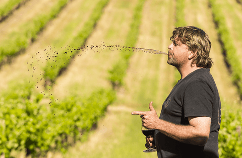 David Franz in the vineyard