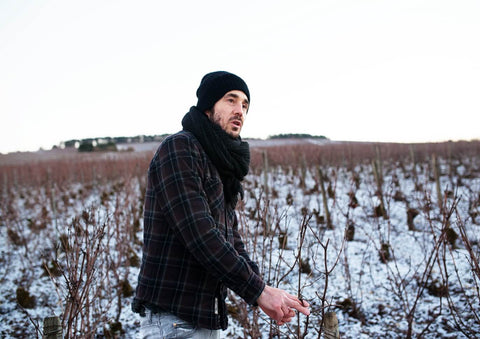 Cédric Bouchard amongst his vines on a winter's morning