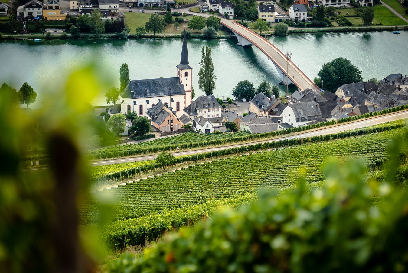 German Vineyards The Good Wine Shop