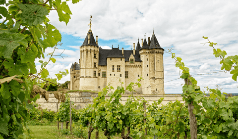 Chateau de Saumur - Loire Valley