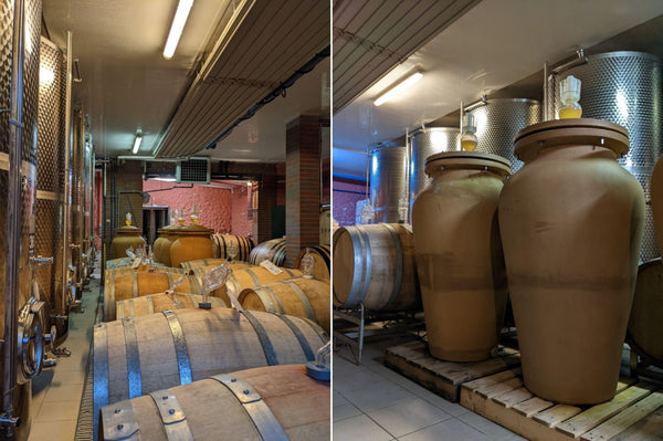 Picture of Zahel's cellar with barrels and amphorae