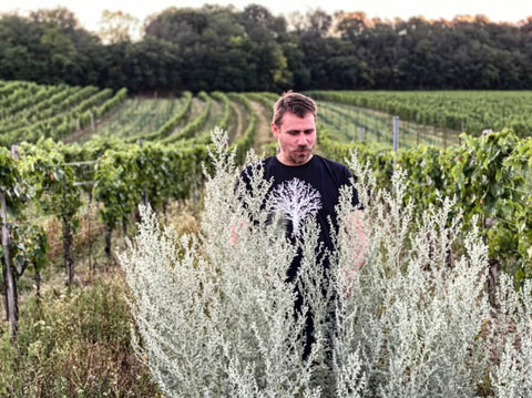 Picture of winemaker Markus Altenburger in his vineyards in Austria