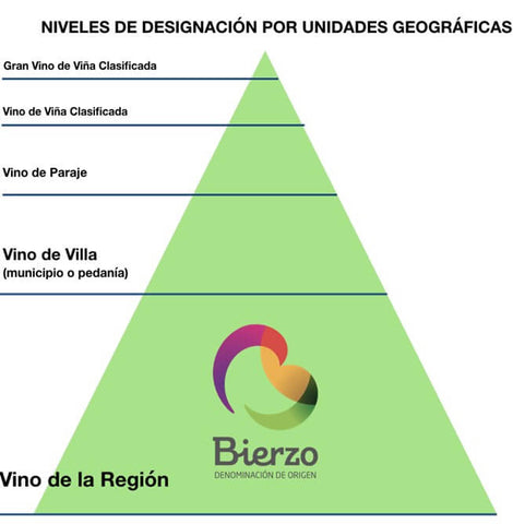 Bierzo's classification