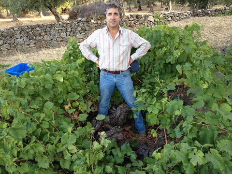 Joao Afonso from Cabecas do Reguengo in front of his vines
