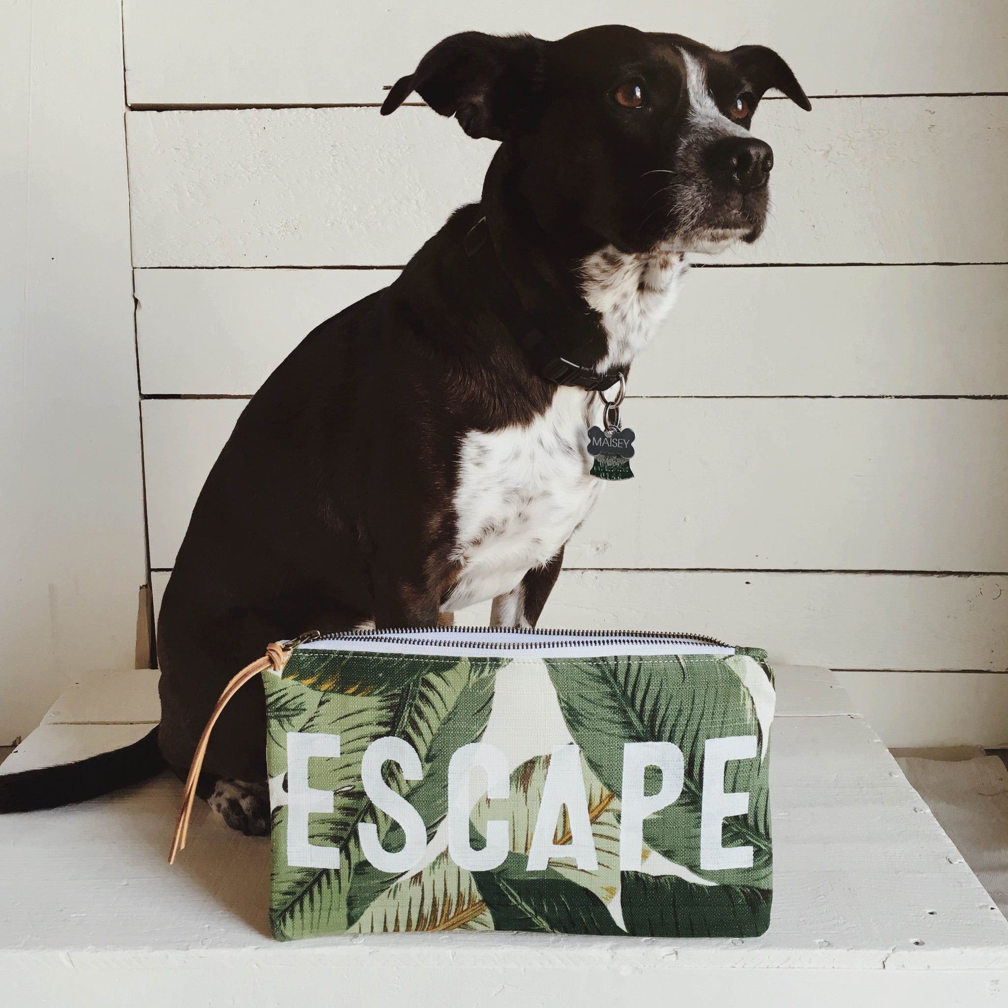  ESCAPE Travel Clutch - Easy Palm Sample - FORESTBOUND