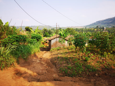 on the way to visit a farmer