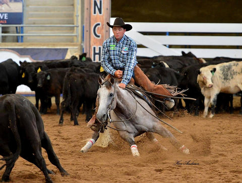 Corey Holden Diamond Wool Pad Co Aus Competitor