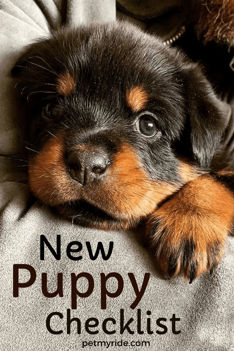 New Puppy Checklist: Ultimate List to Welcome Your Canine Companion by Viktoria Kanevsky