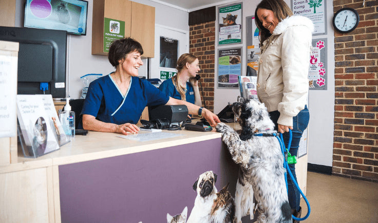 a woman with dog at veterinary clinic