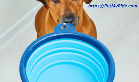foldable dog water bowl for traveling and camping