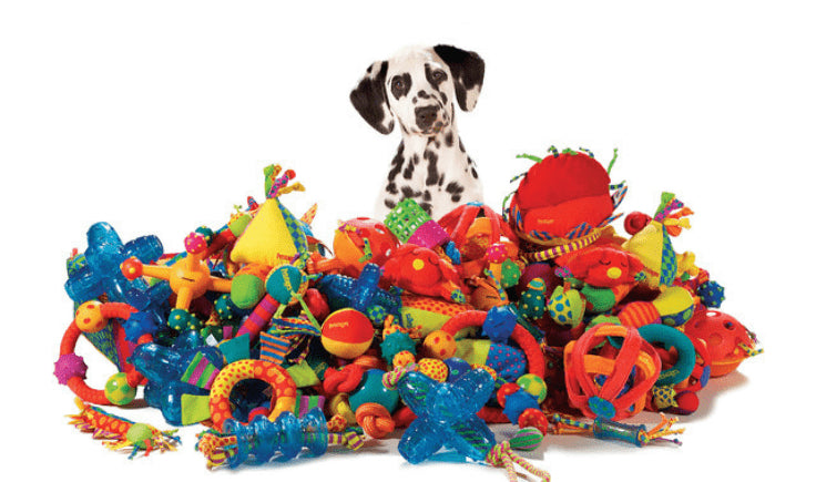 dog toys