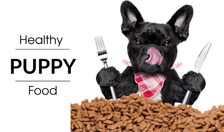 healthy  puppy food